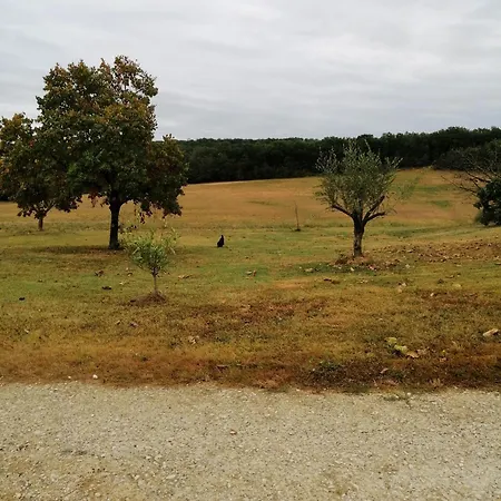 Du Gouthe Le Brouilh